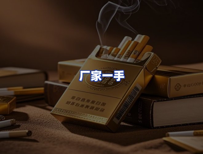 专业团队